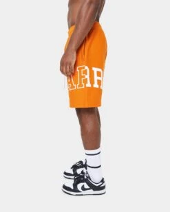 Carré Enorme Sweat Short Burnt Orange -Champioe Style 03004113 YO238 mens 00070